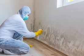 Trusted Iowa Park, TX Mold Remediation Experts